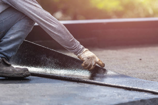 Professional Interior Drainage System technician working in Ashton, MD